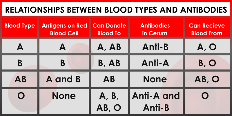 Blood Type Giving Chart